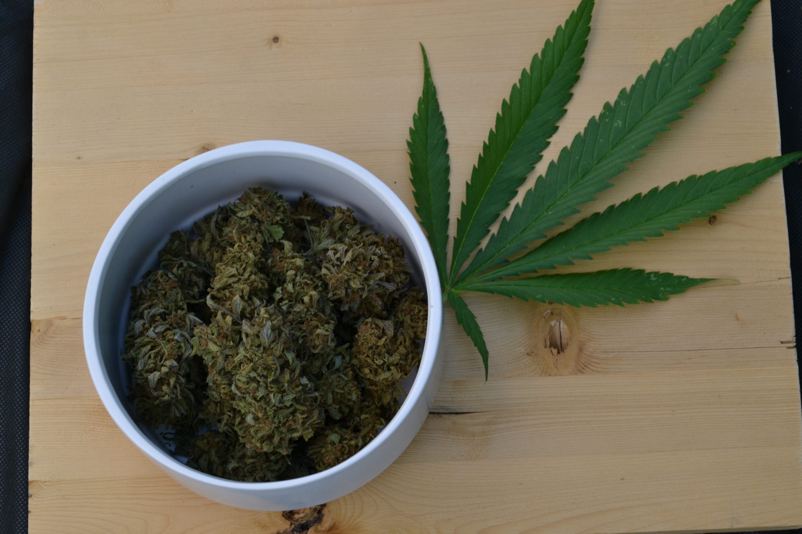 bowl of cannabis