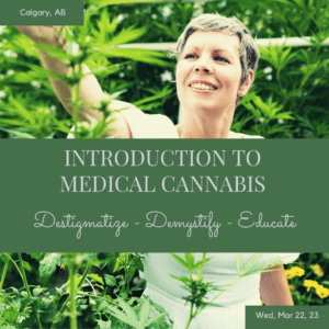 woman admiring cannabis plants in calary