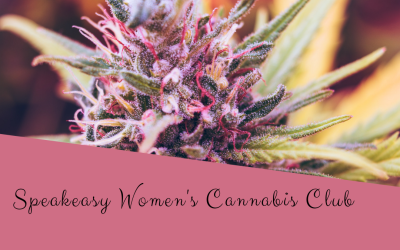 Cannabis 101 – Speakeasy Women’s Cannabis Club
