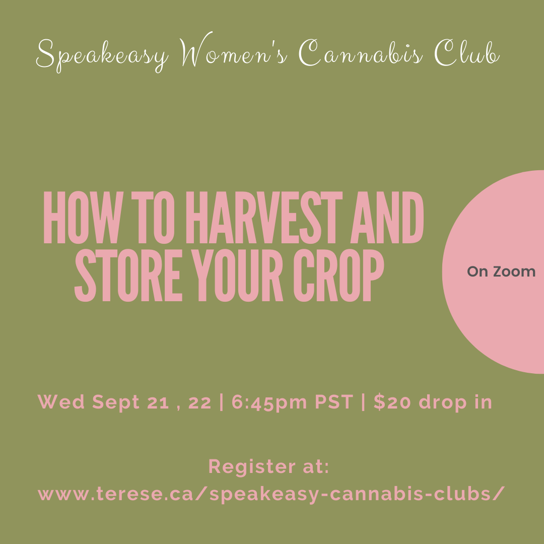 Harvest and Store Cannabis Crop