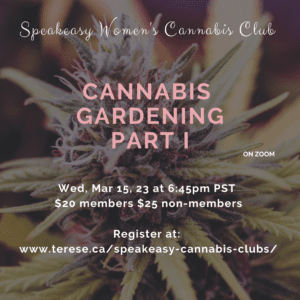 cannabis bud cannabis gardening part 1