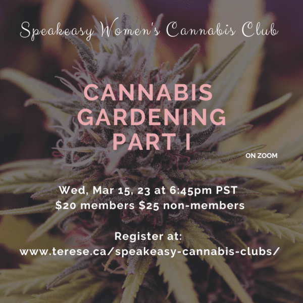 cannabis bud cannabis gardening part 1