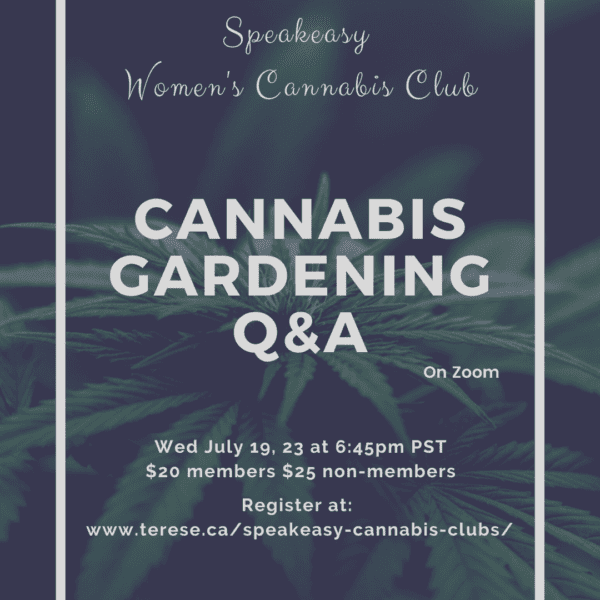 cannabis plant, cannabis gardening Q&A class