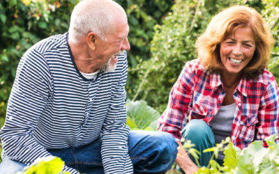Cannabis and Joint Health for Seniors